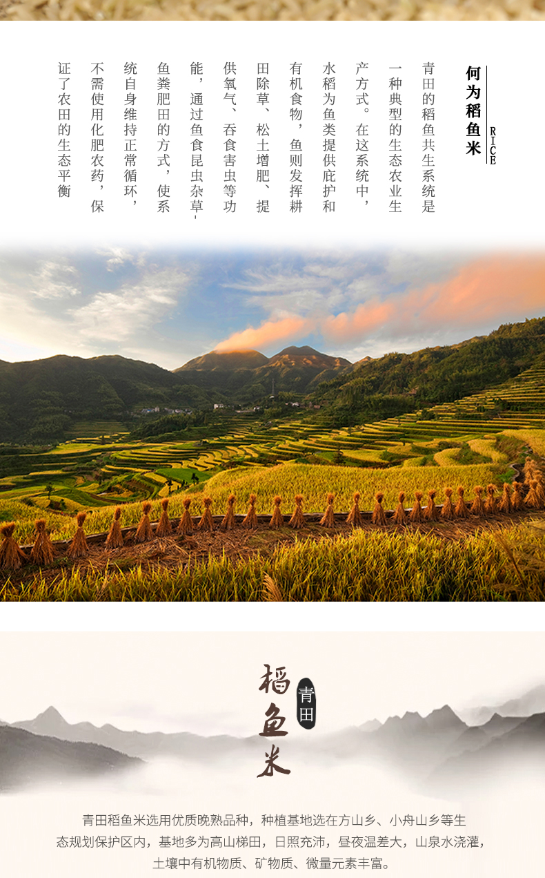 青田稻魚米糙米450g(圖3)